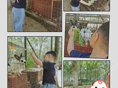 -草根堂农场