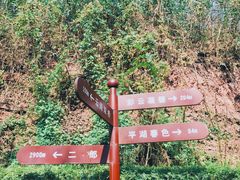 -重庆彩云湖湿地公园
