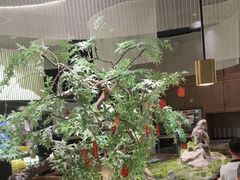 -茂业天地(华强北店)