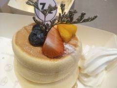 -狐狸和向日葵(北京路店)