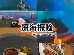 -海棠湾洲际-涛·海底餐厅·美人鱼·自助餐·海底隧道