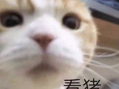 -汪保来(杭州解放路店)