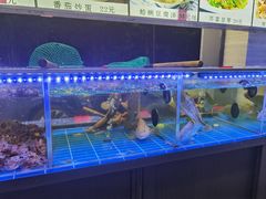 -金海湾海鲜排档(朱家尖店)