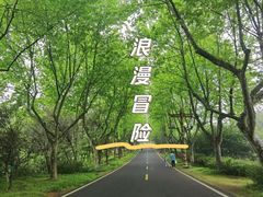 -宜兴龙背山森林公园