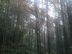 -凤栖山