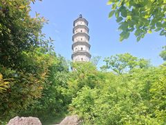 -巢湖姥山岛
