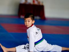 -陈中跆拳道(中关村馆)