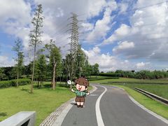 -王借岗森林公园