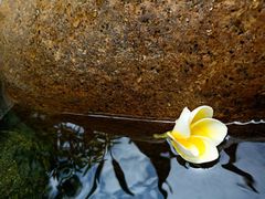 -厦门日月谷温泉渡假村