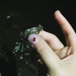 -J·C NAIL美甲美睫