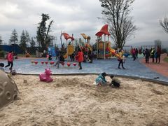 -铁山坪森林公园