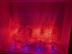 -Xcape异时刻密室逃脱魔法互动(瑞虹天地太阳宫店)