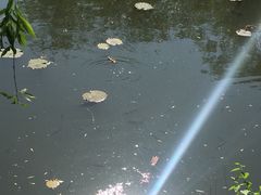 -北京动物园-畅观楼