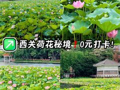 -荔湾湖公园