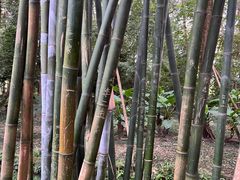 -成都杜甫草堂博物馆