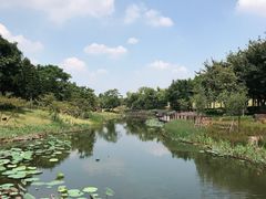 -映月湖公园