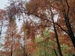 -沐仙湖湿地公园