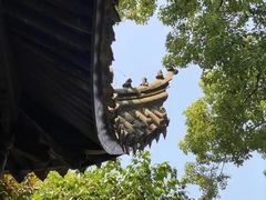 -天一阁博物院