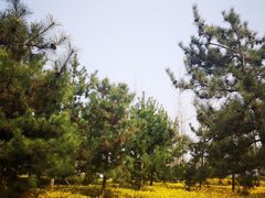 -洨河生态公园