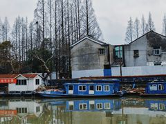 -高东镇樱花园