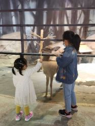 -酷嗒动物文化乐园(cutezoo西溪乐天城店)