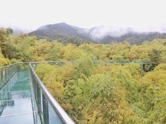 -陶祖圣境风景区