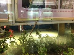 -上海昆虫博物馆