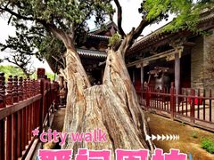 -晋祠公园