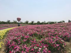 -歌斐颂巧克力小镇