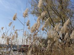 -郑州中国绿化博览园