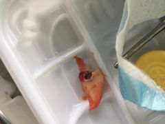 -上海市杨浦区牙病防治所