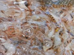 -77号渔船·蒸海鲜青岛菜(积米崖店)