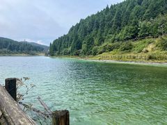 -武陵山森林公园