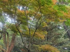 -杭州植物园