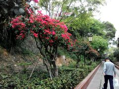android_upload_pic-铁路文化公园