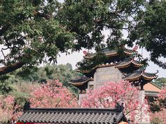 -宝墨园景区