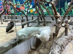 -海合安青岛极地海洋公园
