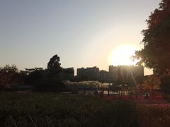 -南沙蒲洲花园