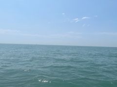 -日照海滨国家森林公园