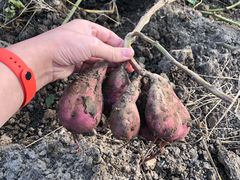 -乡乐园蟹庄·阳澄湖农家乐