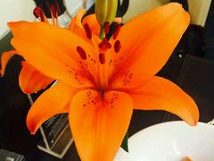 -EATALIA意塔利意式餐厅(鼓楼店)