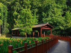 -重庆彩云湖湿地公园