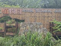 -同里国家湿地公园