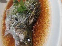 -新梅华(太仓万达店)