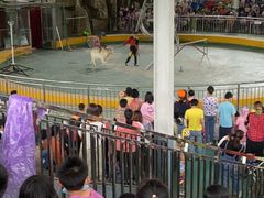 -泉州海丝野生动物世界