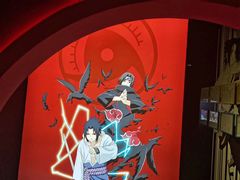 -火影忍者动画多媒体展