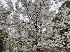 -白塘生态植物园