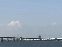 景点-大湾区中央湿地公园