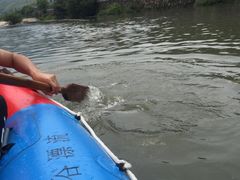 -仙山谷激浪漂流