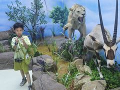 -西霞口神雕山野生动物世界